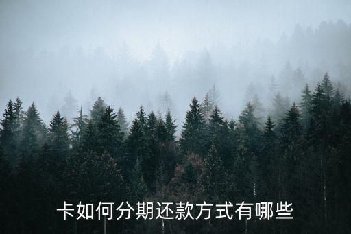 卡如何分期还款方式有哪些