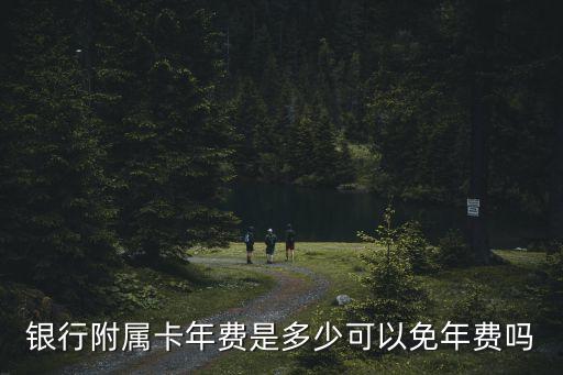 银行附属卡年费是多少可以免年费吗