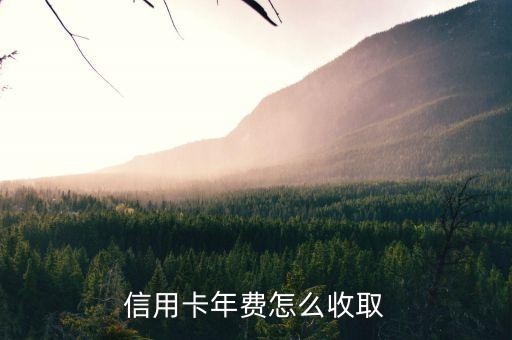 信用卡年费怎么收取