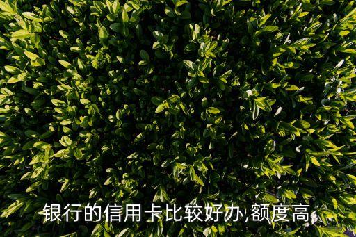 银行的信用卡比较好办,额度高