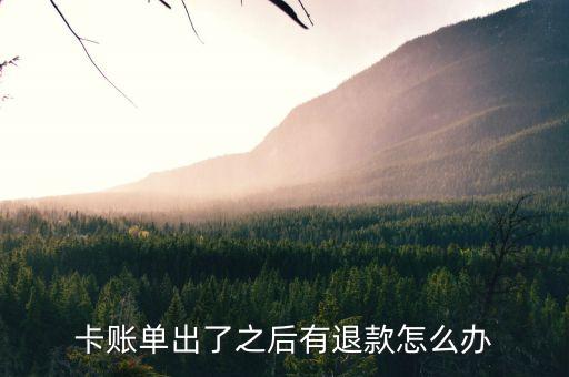 招商银行信用卡消费退款,招商银行信用卡退款