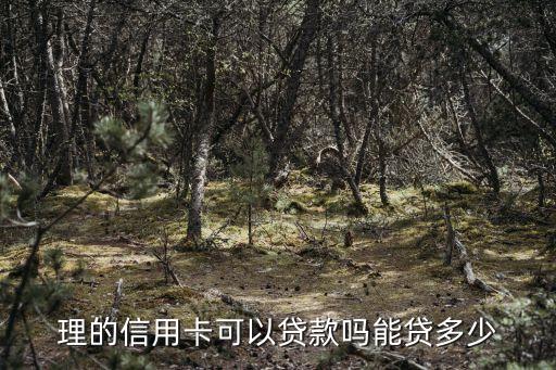 新办的信用卡可以申请货款吗,可以申请信用卡支付延期吗