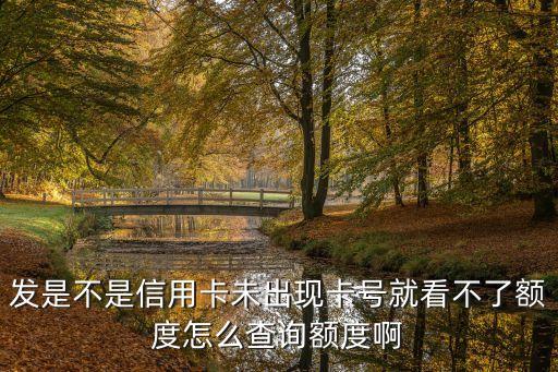 发是不是信用卡未出现卡号就看不了额度怎么查询额度啊