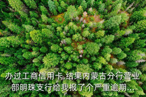 办过工商信用卡,结果内蒙古分行营业部明珠支行给我报了个严重逾期...