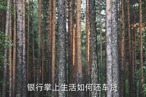 银行掌上生活如何还车贷