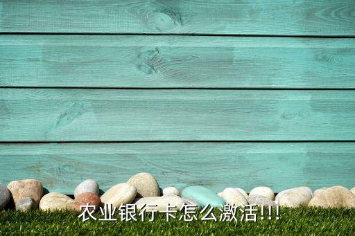 农业银行卡怎么激活!!!