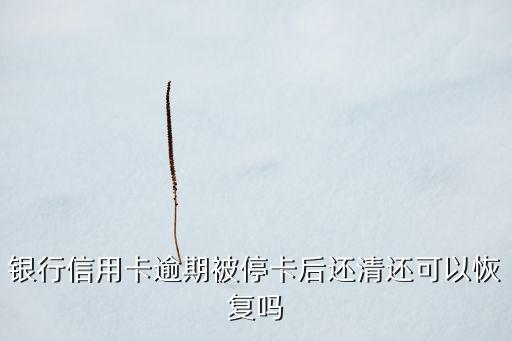 银行信用卡逾期被停卡后还清还可以恢复吗