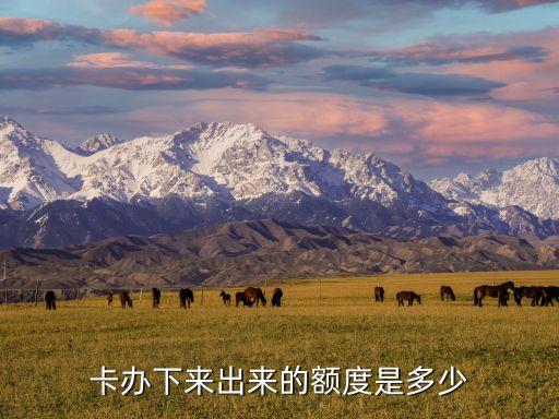 卡办下来出来的额度是多少