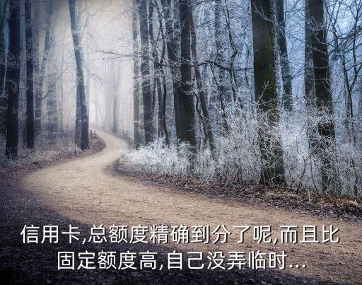 信用卡,总额度精确到分了呢,而且比固定额度高,自己没弄临时...
