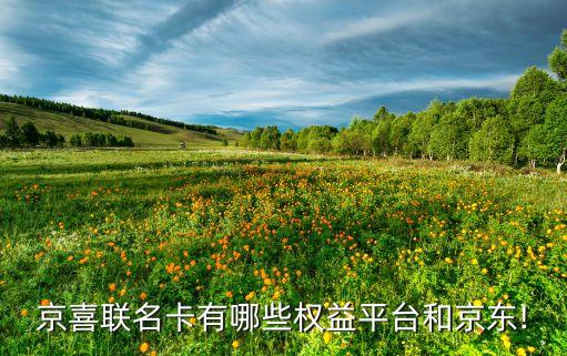 京喜联名卡有哪些权益平台和京东!