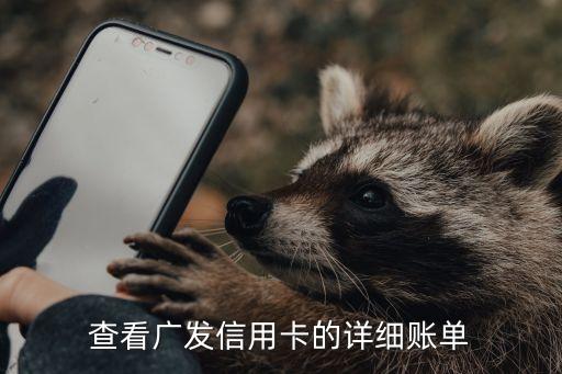 查看广发信用卡的详细账单