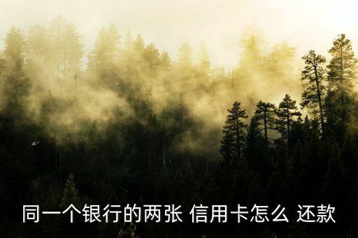 同一个银行的两张 信用卡怎么 还款