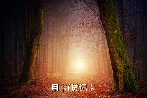 用卡(贷记卡