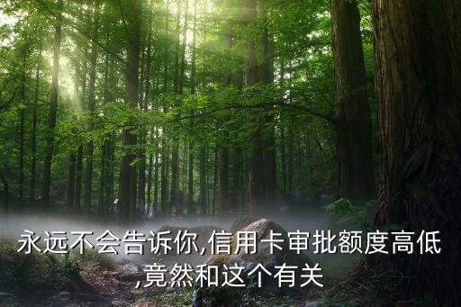 永远不会告诉你,信用卡审批额度高低,竟然和这个有关