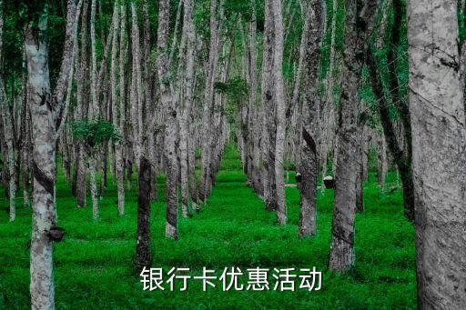 银行卡优惠活动