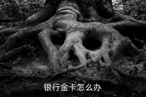 银行金卡怎么办