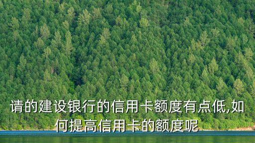 请的建设银行的信用卡额度有点低,如何提高信用卡的额度呢