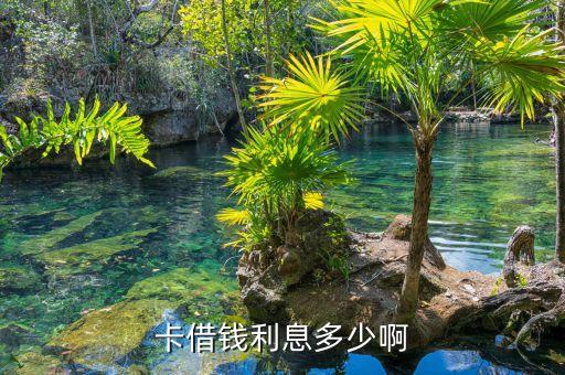 卡借钱利息多少啊