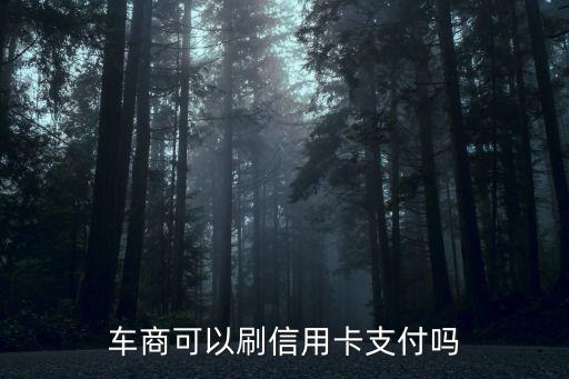 车商可以刷信用卡支付吗