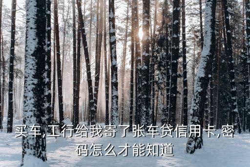 买车,工行给我寄了张车贷信用卡,密码怎么才能知道