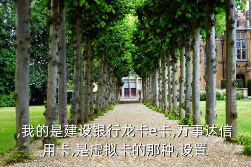 ,我的是建设银行龙卡e卡,万事达信用卡,是虚拟卡的那种,设置