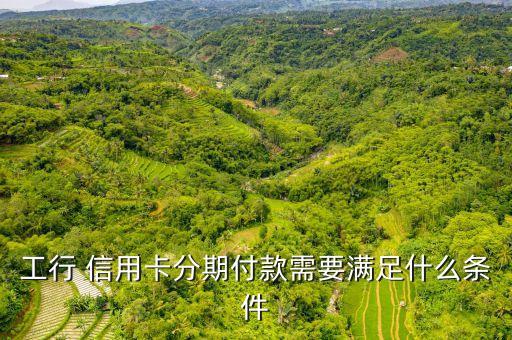 工行 信用卡分期付款需要满足什么条件