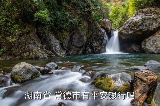 湖南省 常德市有平安银行吗