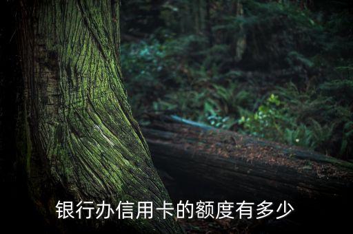 银行办信用卡的额度有多少