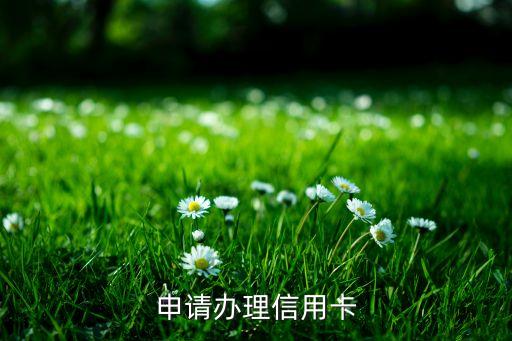 申请办理信用卡