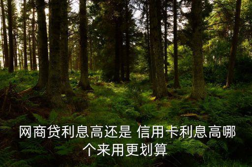  网商贷利息高还是 信用卡利息高哪个来用更划算