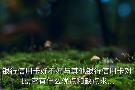 银行信用卡好不好与其他银行信用卡对比,它有什么优点和缺点求...