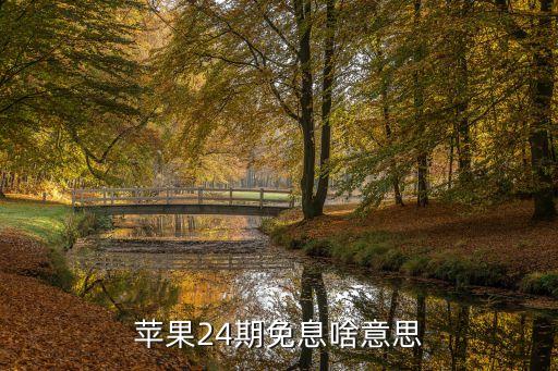 工行信用卡办理苹果分期,苹果分期工商信用卡