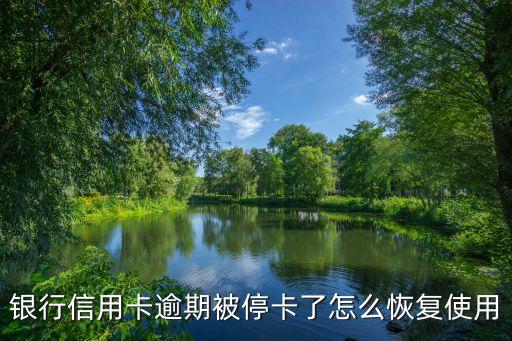 银行信用卡逾期被停卡了怎么恢复使用