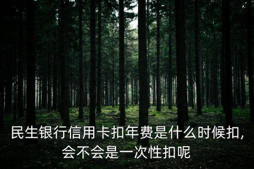 民生银行信用卡扣费,中国民生银行扣钱
