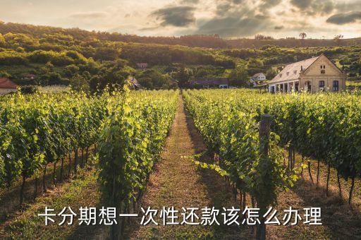 卡分期想一次性还款该怎么办理