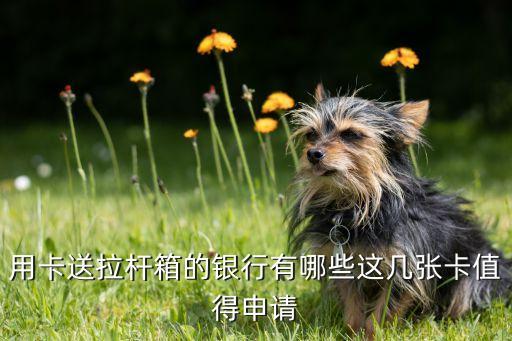 有哪个银行信用卡直接邮寄,哪家银行直接发信用卡