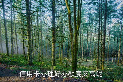 哪种信用卡额度较大一点,大额信用卡