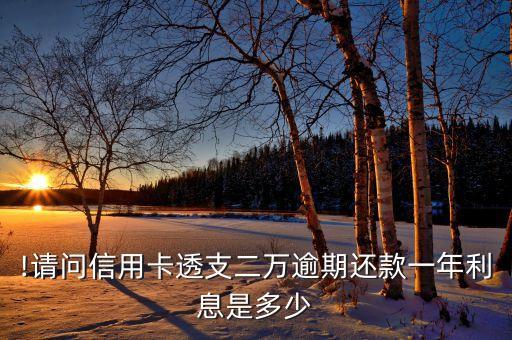 !请问信用卡透支二万逾期还款一年利息是多少