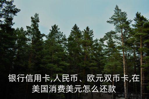 银行信用卡,人民币、欧元双币卡,在美国消费美元怎么还款