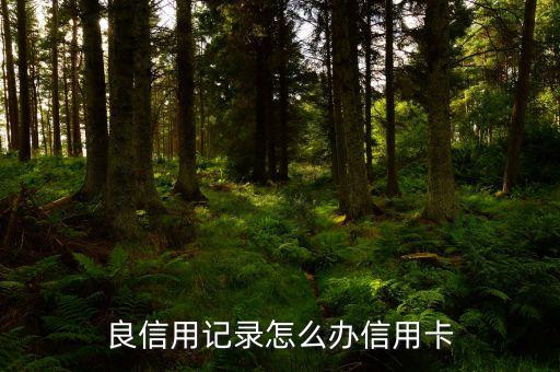 良信用记录怎么办信用卡