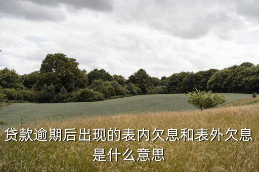贷款逾期后出现的表内欠息和表外欠息是什么意思