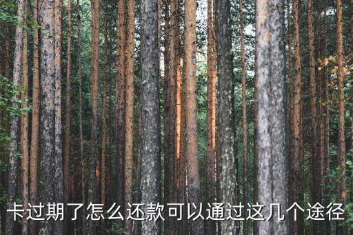 卡过期了怎么还款可以通过这几个途径