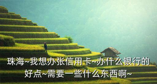 珠海~我想办张信用卡~办什么银行的好点~需要一些什么东西啊~