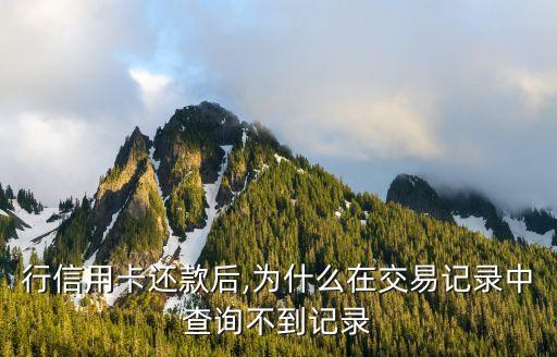 行信用卡还款后,为什么在交易记录中查询不到记录