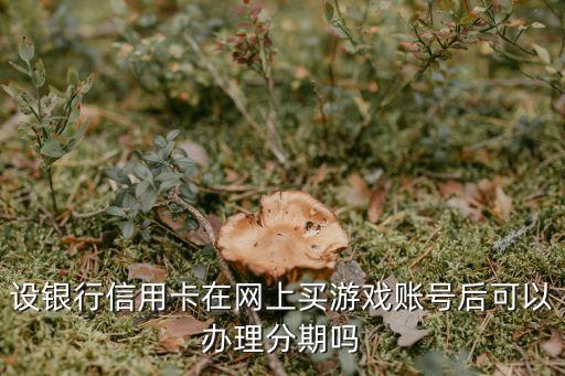 设银行信用卡在网上买游戏账号后可以办理分期吗