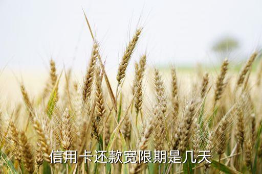 信用卡还款宽限期是几天