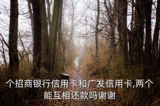 个招商银行信用卡和广发信用卡,两个能互相还款吗谢谢