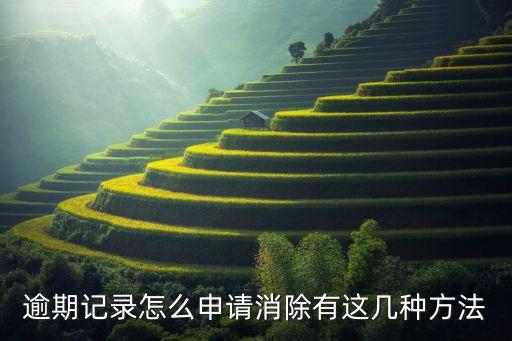 逾期记录怎么申请消除有这几种方法
