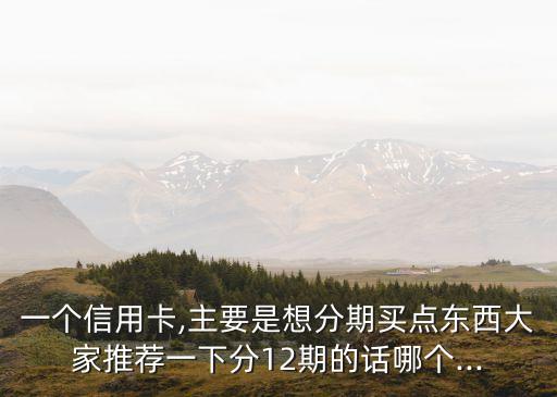 一个信用卡,主要是想分期买点东西大家推荐一下分12期的话哪个...