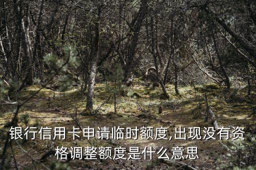 信用卡无法申请临时额度,如何申请中信信用卡临时信用额度